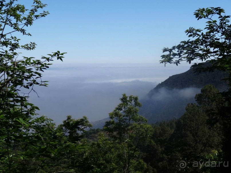 Место, куда не хочется возвращаться.