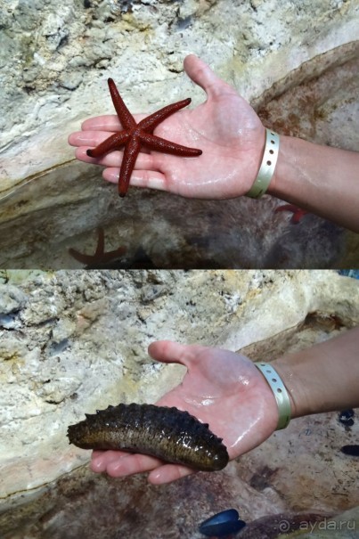 Крит в октябре.