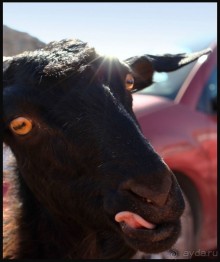 Крит в октябре.