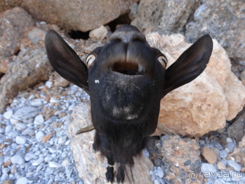 Крит в октябре.