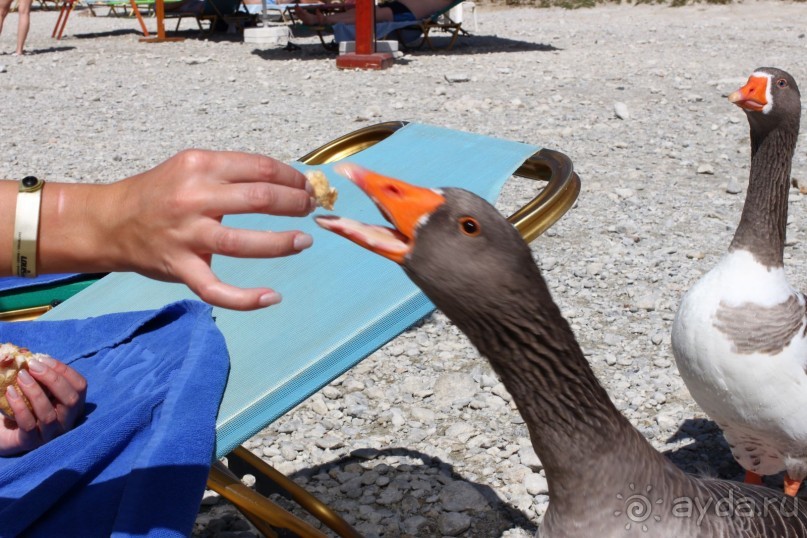 Крит в октябре.