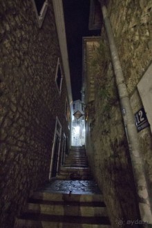 Сосна негра Монти.