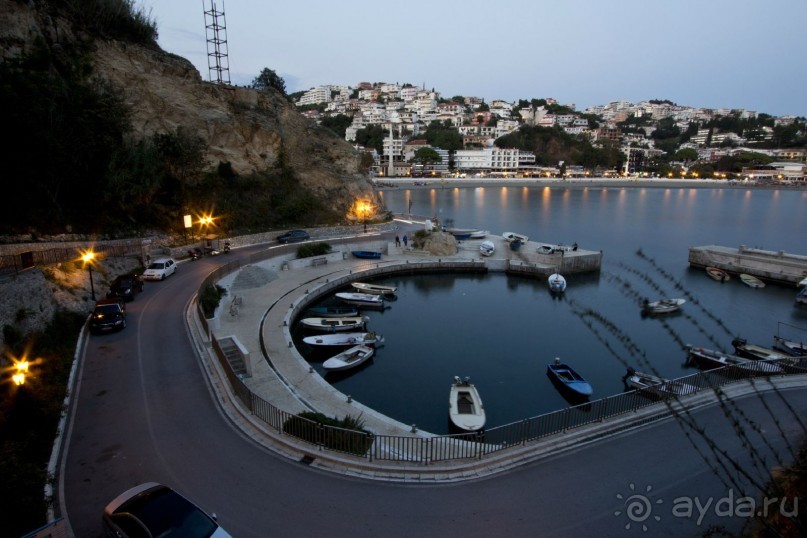 Сосна негра Монти.