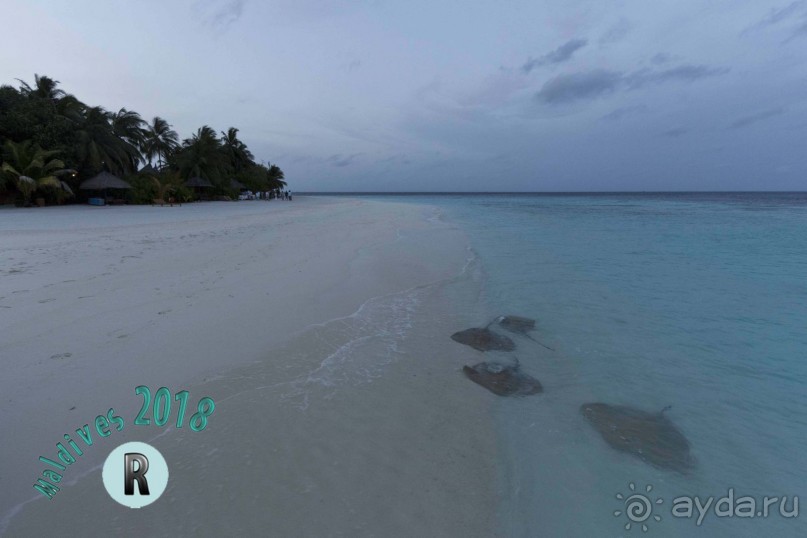 фото Banyan Tree Madivaru