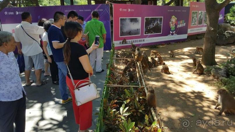 Нерестилище