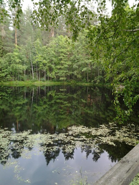 Детский интеллект-лагерь "Огни Москвы": заповедная Мордовия