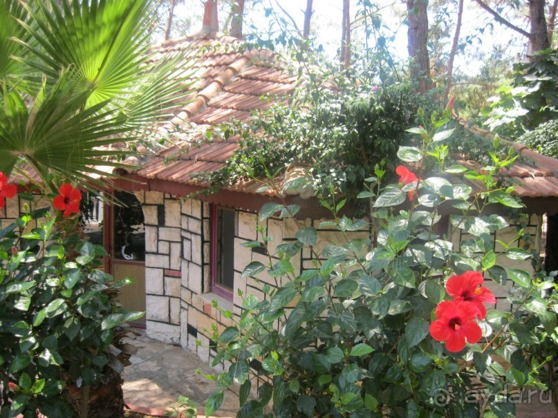 Как настроишься на отдых - так его и проведешь ! Грин хилл - Молодцы !!!