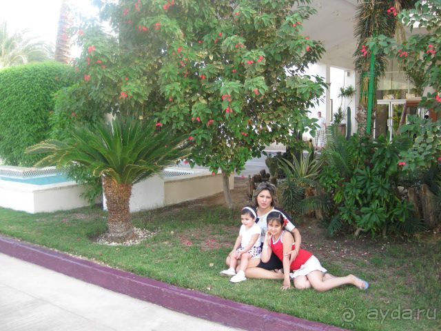 ШЕРАТОН вы лучшие!!!!