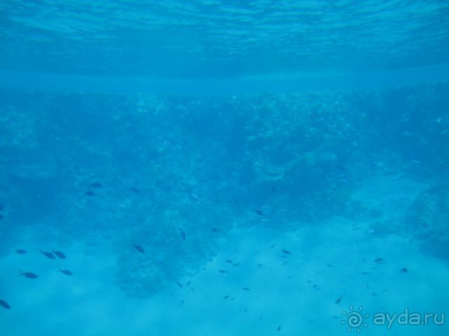 ШЕРАТОН вы лучшие!!!!