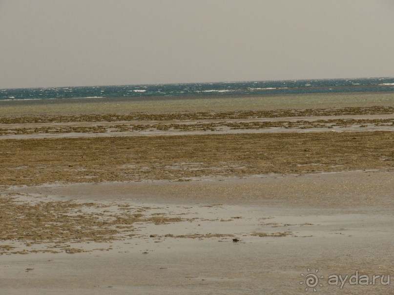 Просто ужас, а не отдых! Такого хамства и наглости не ожидал.