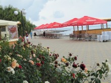 На отлично с внуками июль 2013 