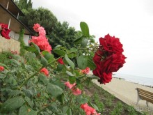 На отлично с внуками июль 2013 