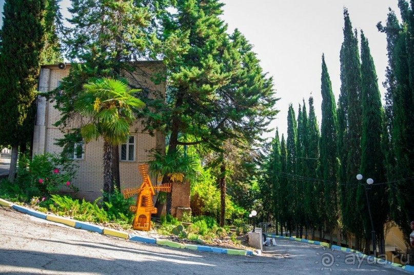 На отлично с внуками июль 2013 