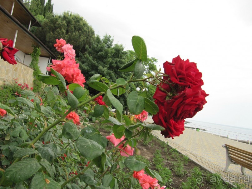 На отлично с внуками июль 2013 