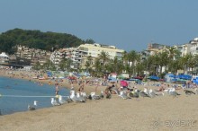 Отличный отель.Не привередничайте)