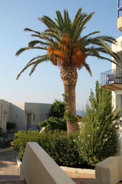 фото Scaleta Beach