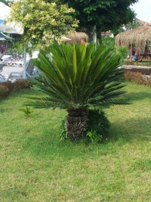 Приветственный персонал, хорошие работники, очень понравился отель.