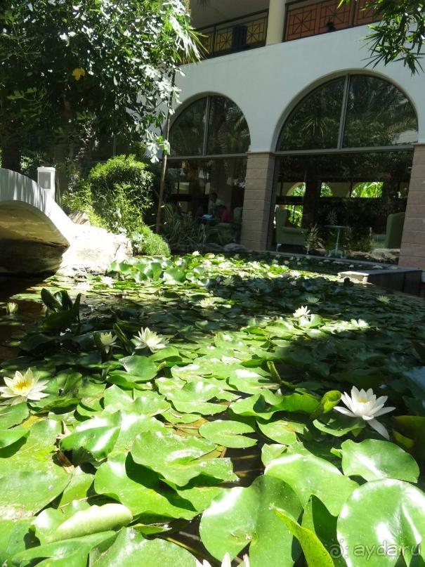 На территории отеля.