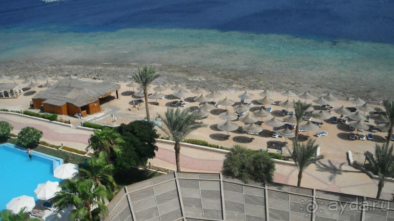 отличный риф, море безволны, много рыбы, де