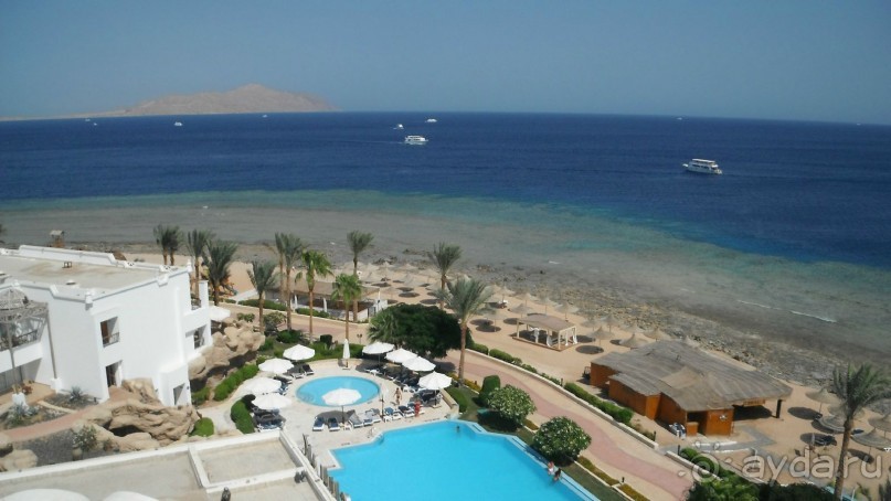 отличный риф, море безволны, много рыбы, де