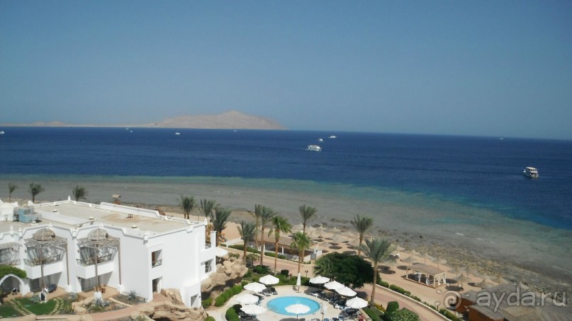 отличный риф, море безволны, много рыбы, де