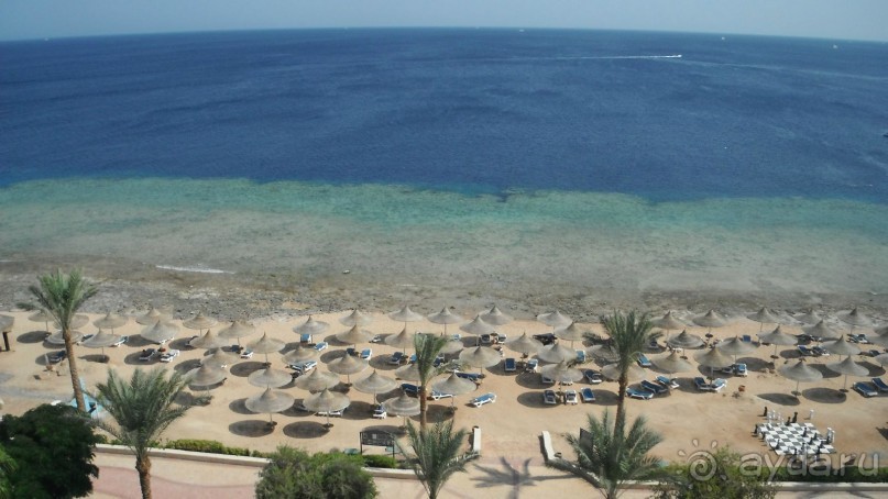 отличный риф, море безволны, много рыбы, де