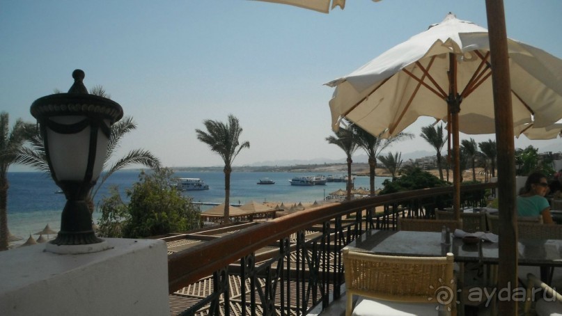 отличный риф, море безволны, много рыбы, де