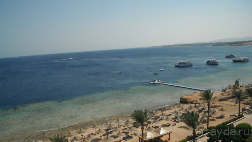 отличный риф, море безволны, много рыбы, де