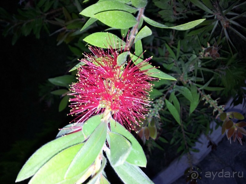 рейтинг сильно завышен