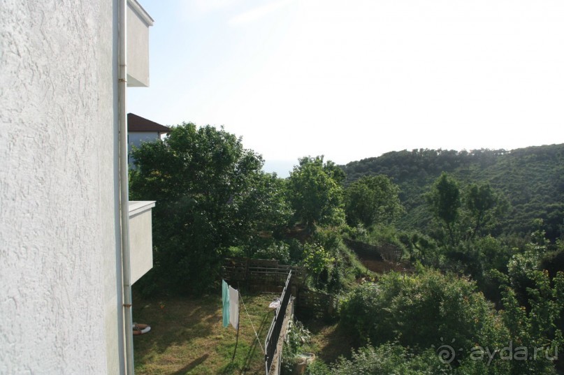 апартаменты Злата Олива - снимали на год