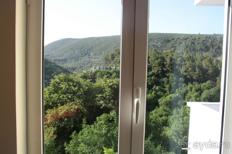 апартаменты Злата Олива - снимали на год