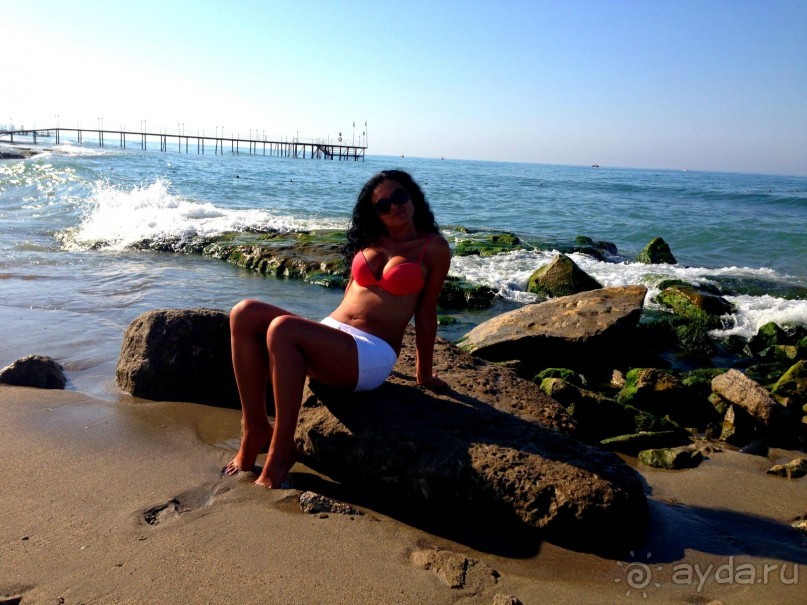 фото Bellevue -Tlapak