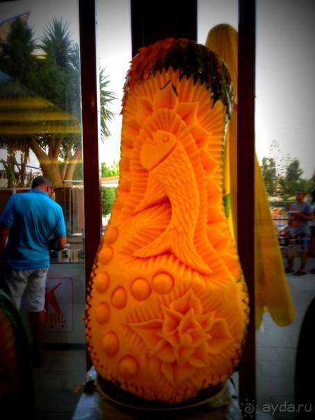 фото Bellevue -Tlapak