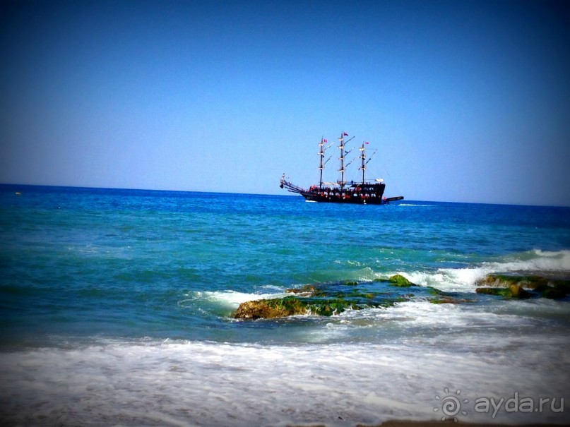 фото Bellevue -Tlapak