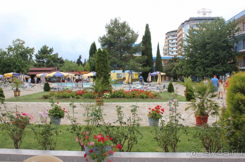 Больше, чем ожидали!