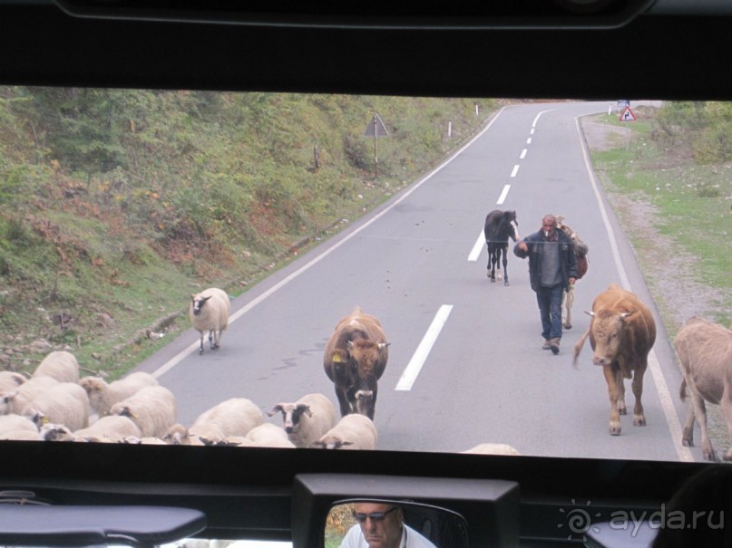 черногория