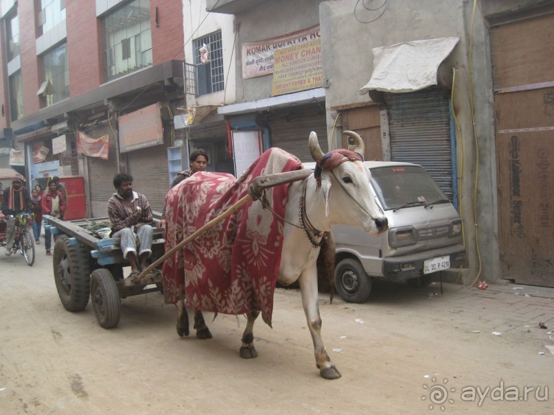 В Индию самостоятельно