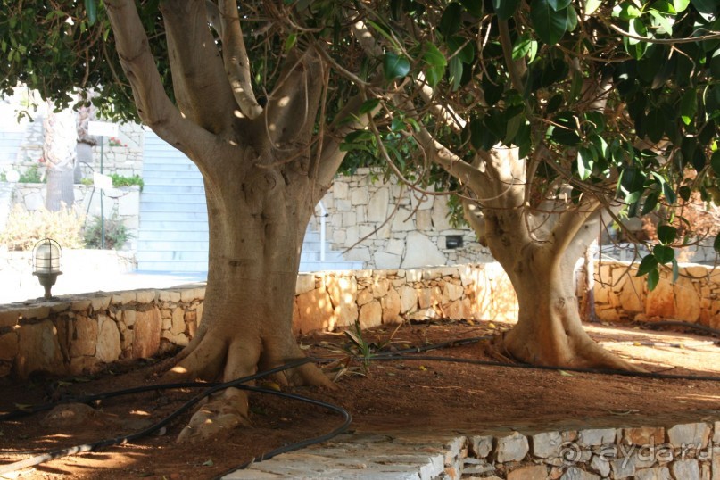 Подробная Информация!!!! Подробная Информация!!!!