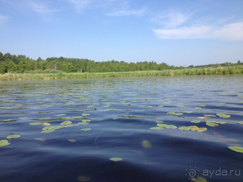 фото Best Western Hotel Kampa