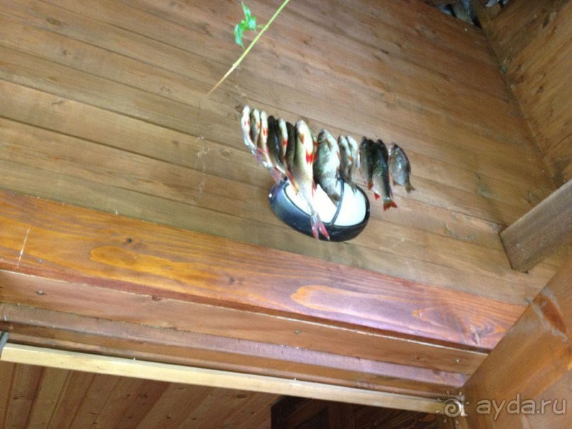 фото Best Western Hotel Kampa