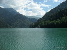 фото Самшитовая роща