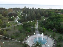 фото Самшитовая роща