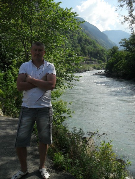 фото Самшитовая роща