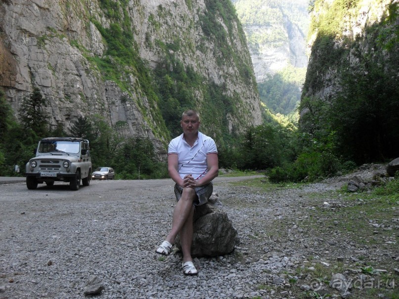 фото Самшитовая роща