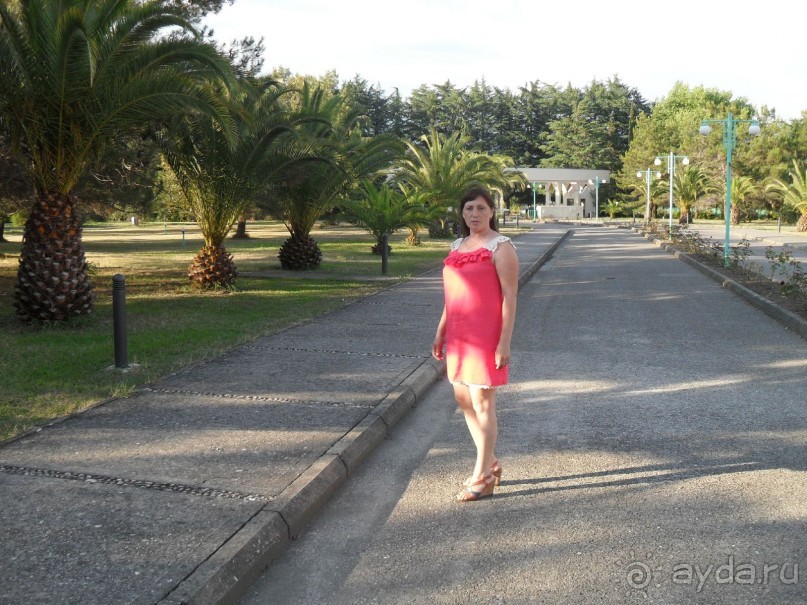 фото Самшитовая роща