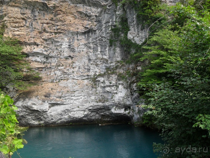 фото Самшитовая роща