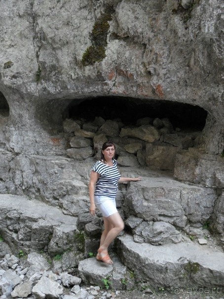 фото Самшитовая роща