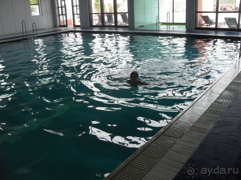 фото Самшитовая роща