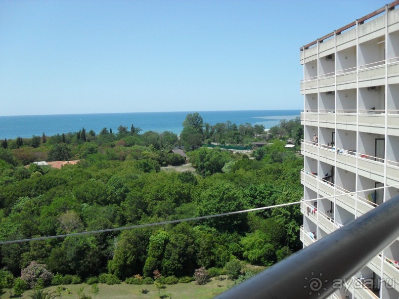 фото Самшитовая роща