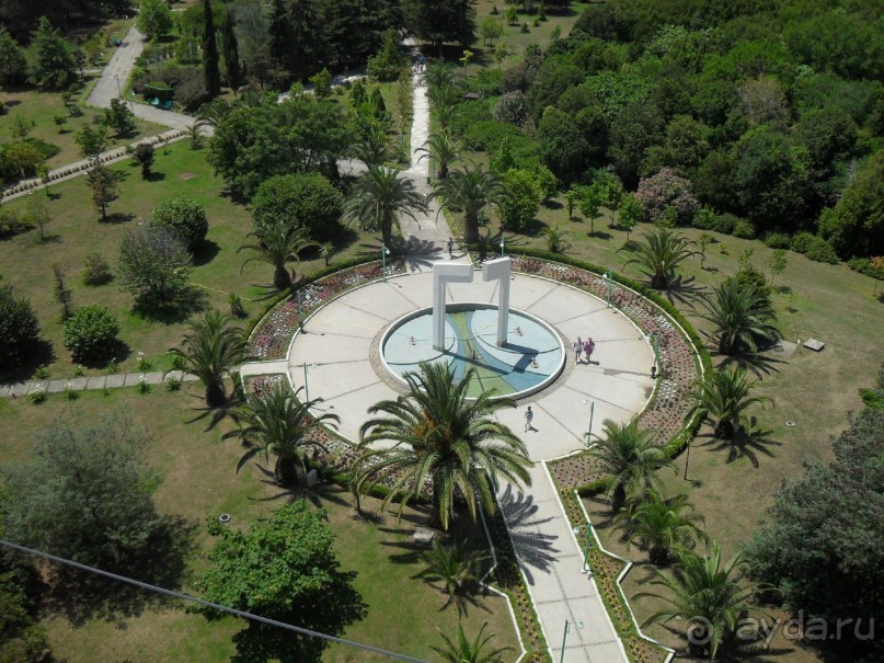 фото Самшитовая роща